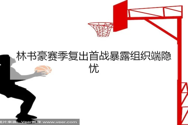 林书豪赛季复出首战暴露组织端隐忧